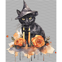 Halloween-WS 810